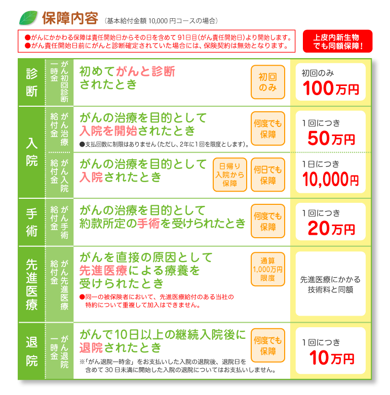 �ۏ���e