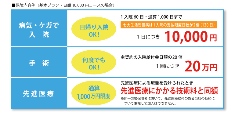 �ۏ���e