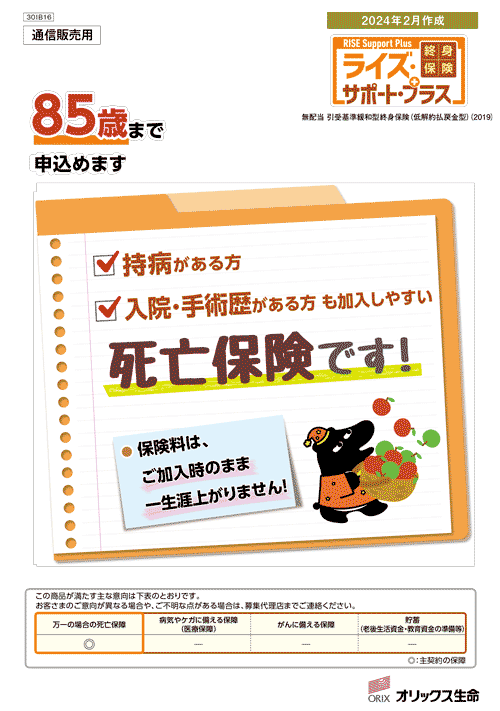 表紙（ライズサポート）