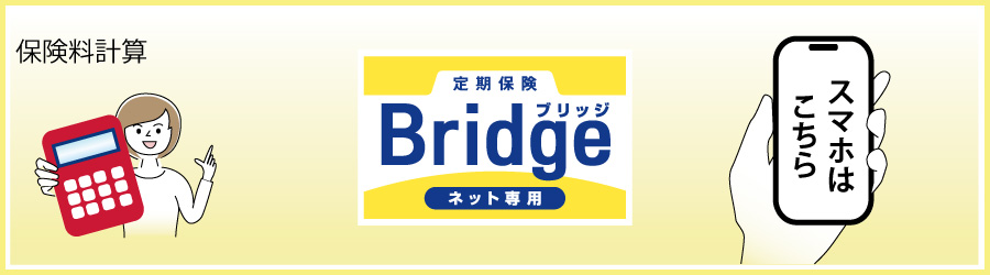 BridgeiubWj