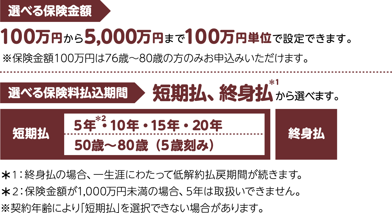 �I�ׂ�ی����z�E�ی�����������